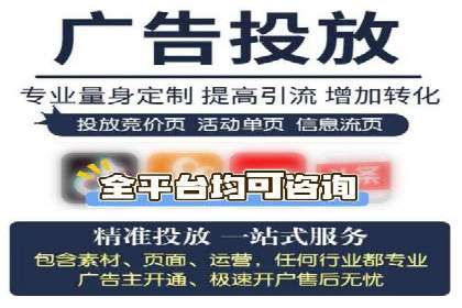 专业SEM代运营公司案例分析